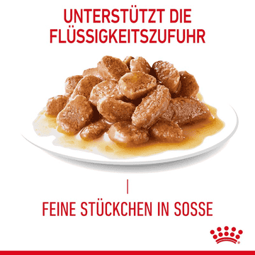 Urinary Care Gravy  - Frischebeutel