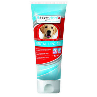 bogadent DENTAL LIPO-GEL chien
