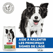 Canine Senior Vitality 7+ Medium Breed
