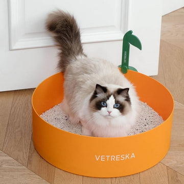 Katzentoilette Tangerine