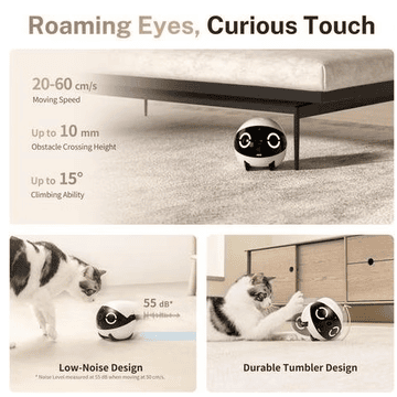 ROLA Mini Companion Robot