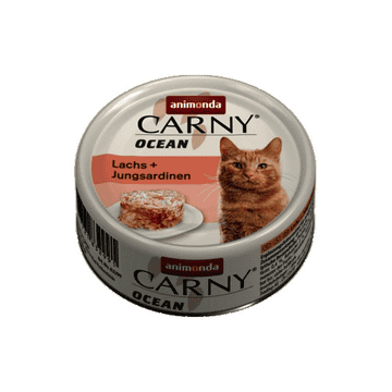 Carny Ocean Adult Cat