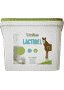 Lactibel