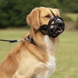 Muzzle Ultra