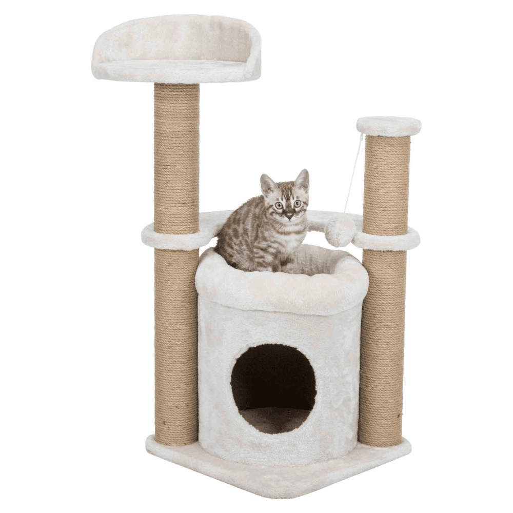 Nayra cat scratcher