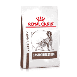 Gastrointestinal Dog