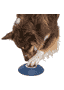 Dog Activity Memory Trainer 3.0