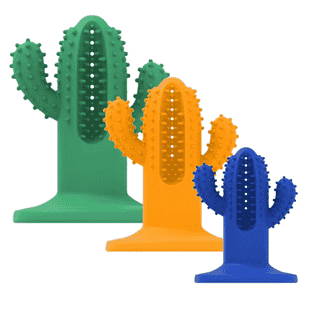 Dental Chew Cactus Rubber