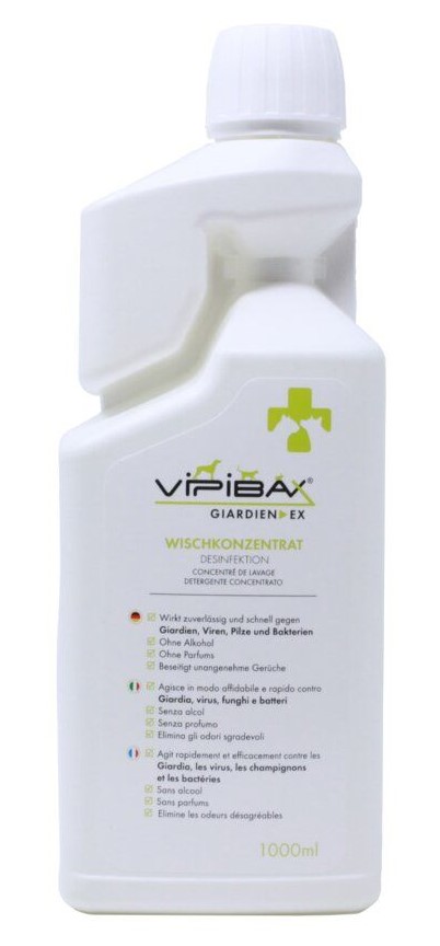 GIARDIEN EX Wischkonzentrat