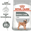 Dental Care Mini