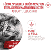 Ageing 11+ Sterilised