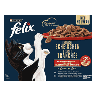 Délices tranchés Sélection de la campagne
