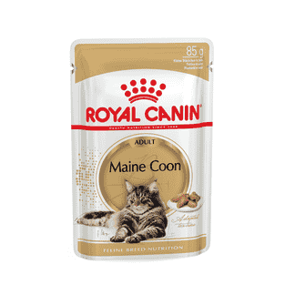 Maine Coon en sauce