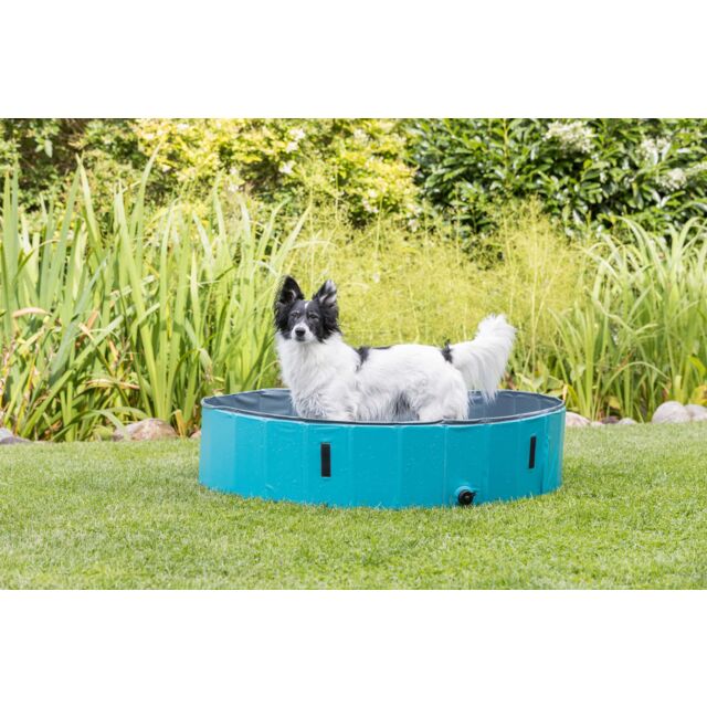 Hundepool