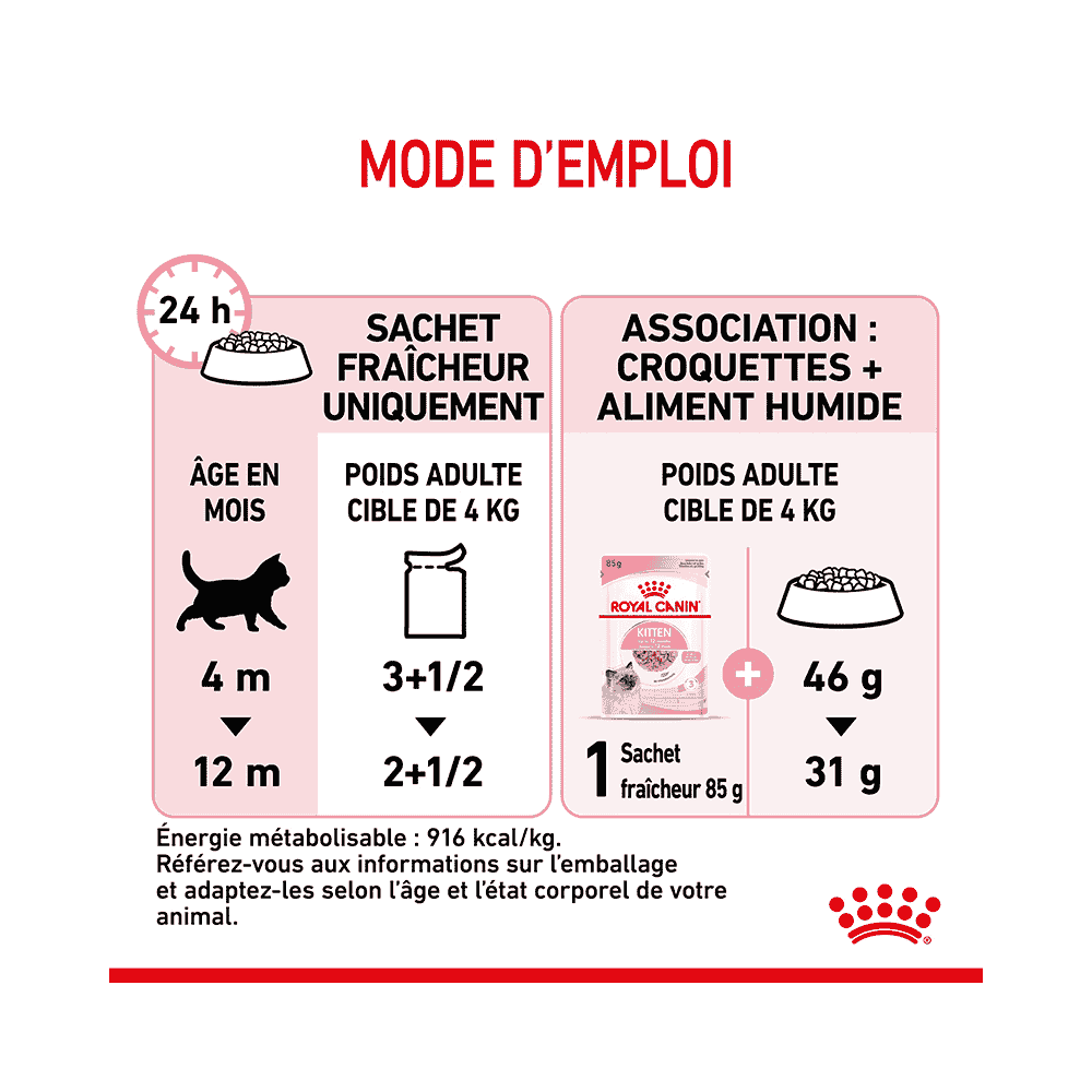 Kitten en gelée - sachet