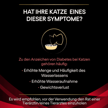 FELINE DM St/Ox Diabetes Management - Frischebeutel
