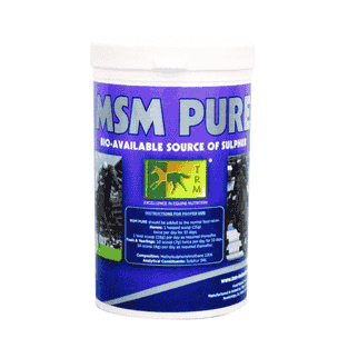 MSM Pure