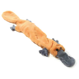 Schlappi Schnabeltier
