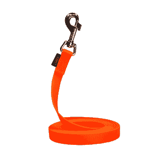 Laisse à pister en biothane, orange vif