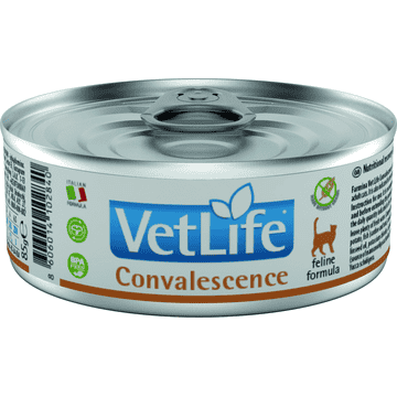 Feline Convalescence - Dose