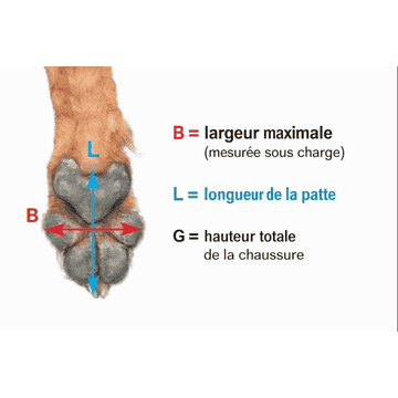 Chaussures de protection Pro Active