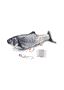 Fish-Dancer Karpfen