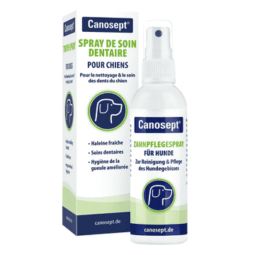 Dental care spray