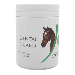 Dental Guard