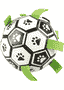 Football canin