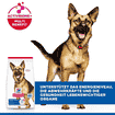 Canine Mature Adult 6+ Large Breed