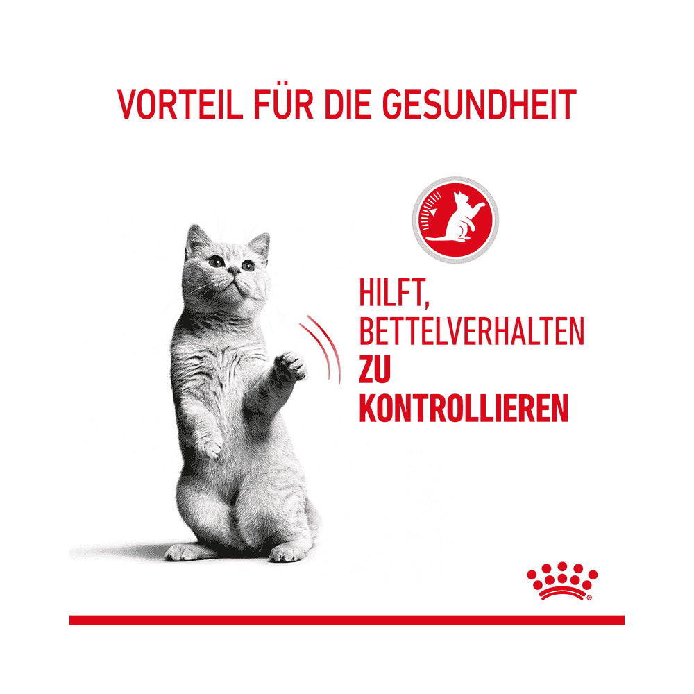 Appetite Control Gravy - Frischebeutel