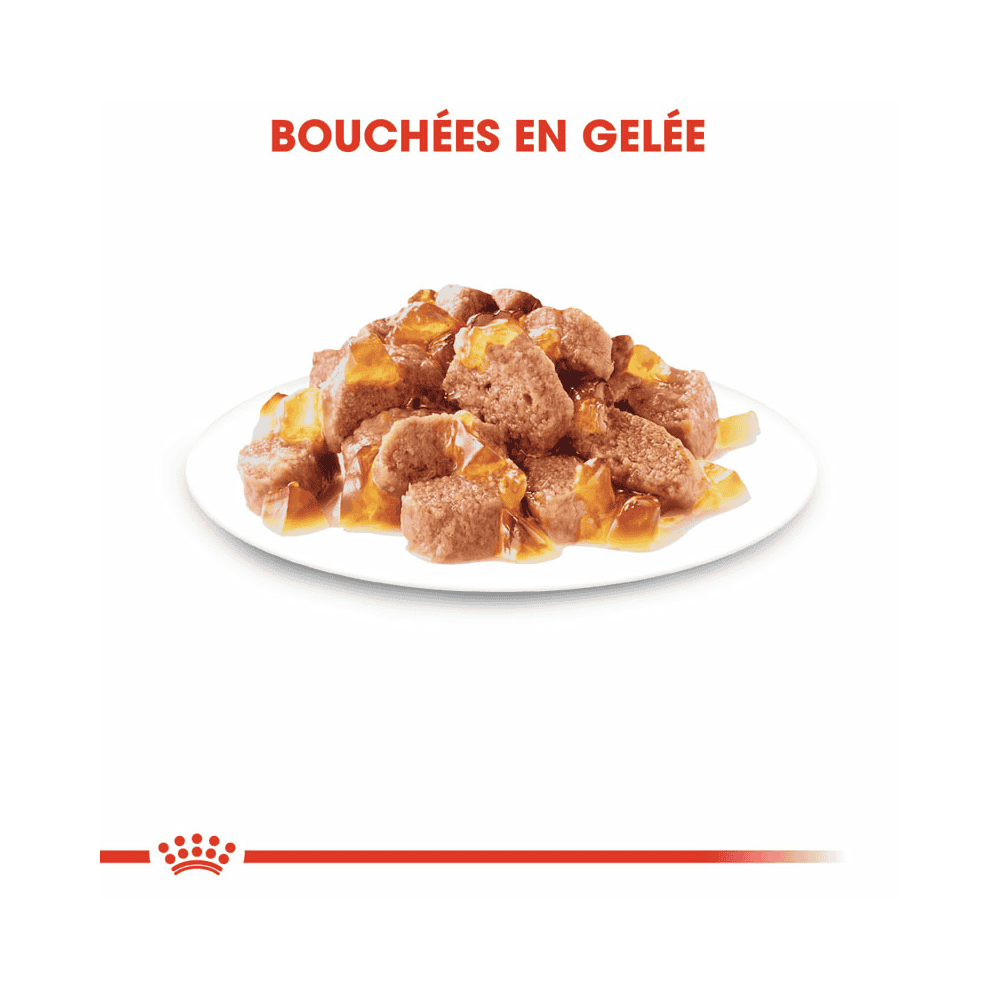 Sterilised en gelée - sachet