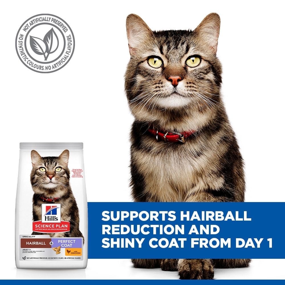 Feline Hairball & Perfect Coat Adult