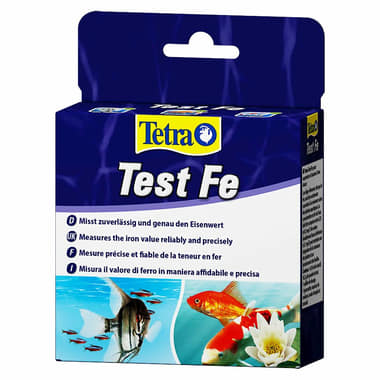 Test Eisen FE