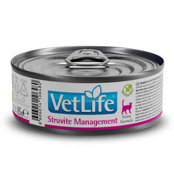 Feline Adult Struvite Management