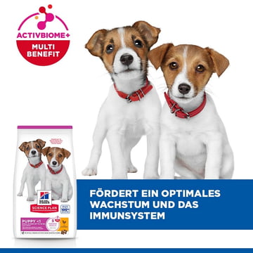Puppy Small & Mini Breed