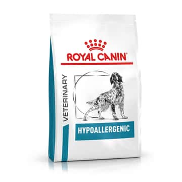 Hypoallergenic Dog