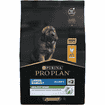 LARGE ROBUST PUPPY Healthy Start