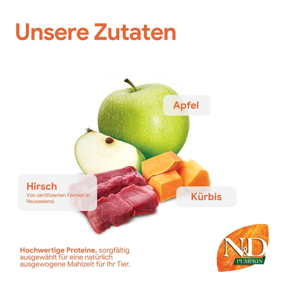 Feline Adult Kürbis Wild, Apfel