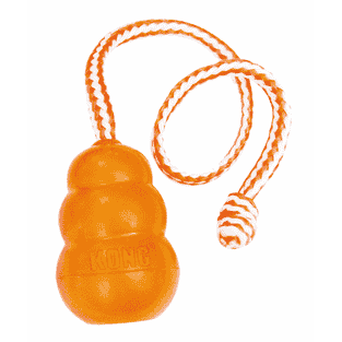 KONG Aqua orange