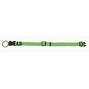 TrendLine ONE Collier, vert