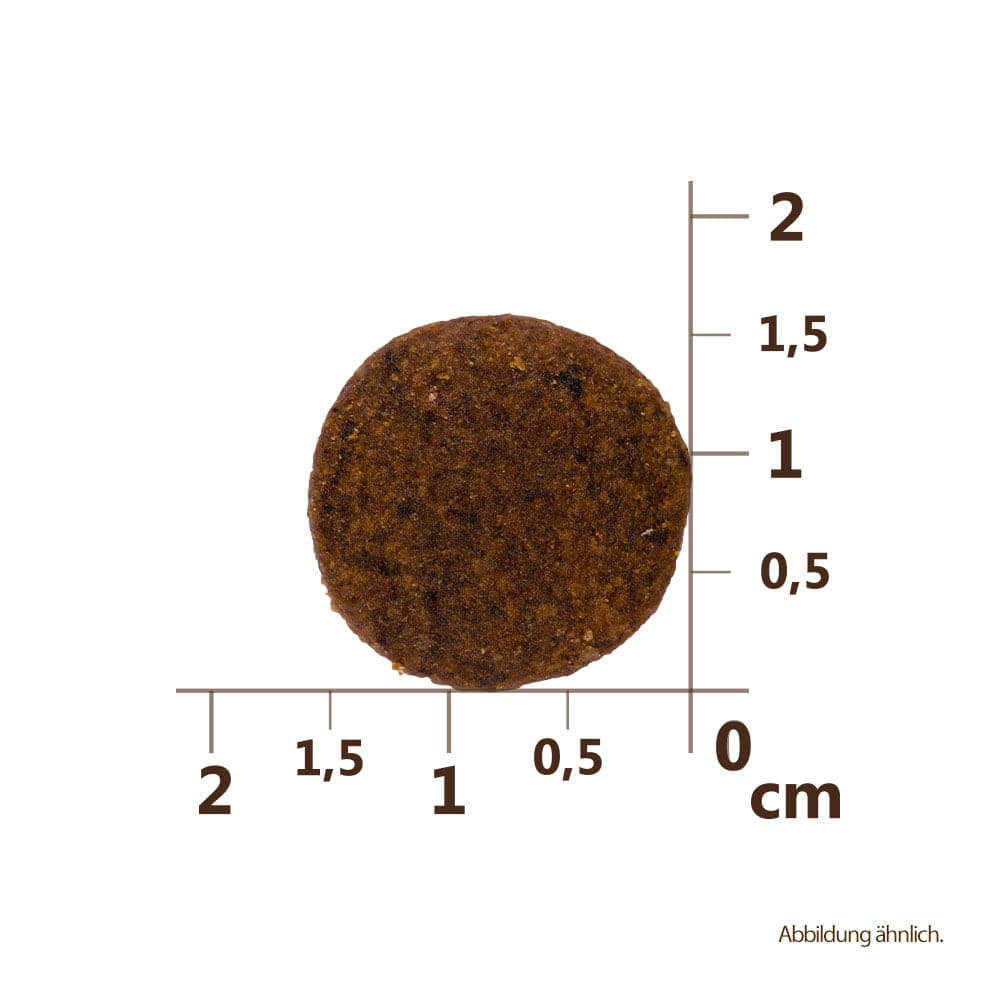 Puppy Large Breed - Lachs & Truthahn