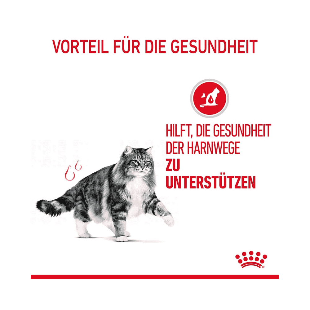 Urinary Care Jelly - Frischebeutel