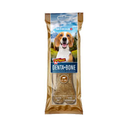 DentaBone Lamm