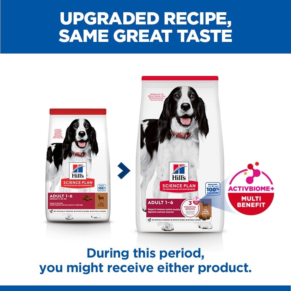 Canine Adult Medium Breed Lamb & Rice