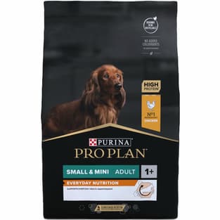 SMALL + MINI ADULT Everyday Nutrition