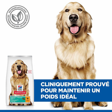 Canine Adult Perfect Weight Large Breed