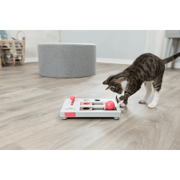 Cat Activity Brain Mover