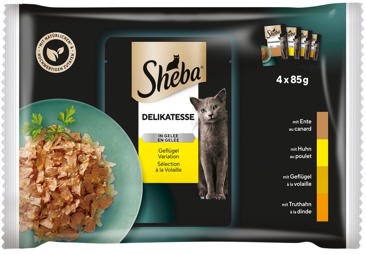 Délicatesse en gelée volaille