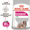 Mini Exigent